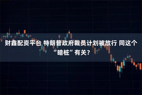 财鑫配资平台 特朗普政府裁员计划被放行 同这个“暗桩”有关？