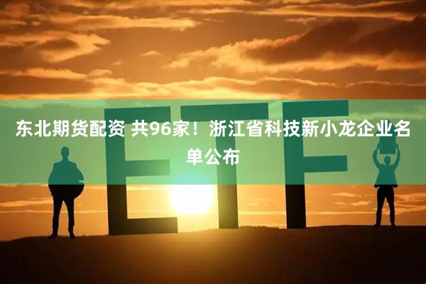 东北期货配资 共96家！浙江省科技新小龙企业名单公布