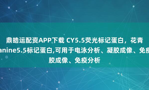 鼎皓运配资APP下载 CY5.5荧光标记蛋白,花青素cyanine5.5标记蛋白,可用于电泳分析、凝胶成像、免疫分析